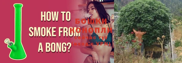 экстази Бородино