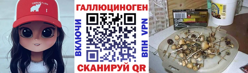 Галлюциногенные грибы ЛСД  купить наркоту  Семёнов 